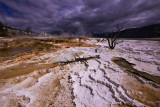 Canary Springs, Yellowstone National Park, 2010