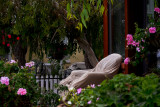 Shrouded patio chair, Mission Beach, San Diego, California, 2010.