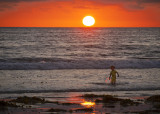 Bearing life, Mission Beach, San Diego, California, 2010