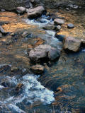 Rocky Water, Virgin River, Zion National Park, Utah, 2006