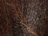 Under the Waterfall, Lower Emerald Pool, Zion National Park, Utah, 2006