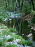 Low water, Oak Creek Canyon, Sedona, Arizona, 2006