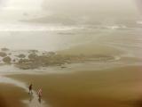 Morning fog, Bandon, Oregon, 2006