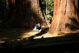 The intensity of a journalist, by Tom Talbot, Yosemite National Park, California, 2004