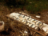 Discarded signage, Snow-Cap Drive-in, Seligman, Arizona, 2006