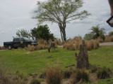 IMG_2831.JPG