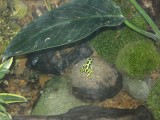 IMG_2852.JPG