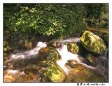 CRW_2498.jpg