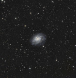 NGC300 LRGB 100 30 30 30