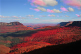 Blue Mountains Valley View colour IR Composite.jpg