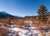 Early winter in Bow Valley
