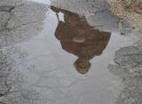 A Puddle Following A Rain.JPG