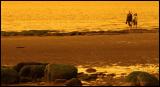 young lovers on the beach