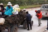 Timmy hasnt seen people haul dung before