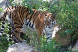 IMG_3953.jpg