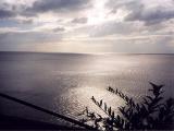 trip to England 1998<br>at the seaside near Torquay