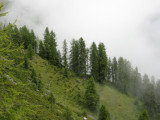 IMG_2163.jpg