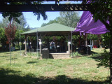 Blackberry Festival