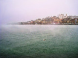 Fog flies over the lake as a tired bird