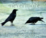 Quoth the raven, `Nevermore.
