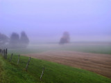 The elegance of a curtain of mist