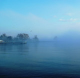 Blue morning mist