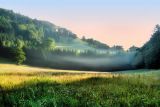 Morning mist over pasture land