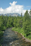 ALASKA STREAM