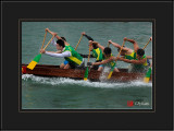 The Lure of Dragon Boat Racing