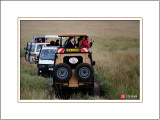Safari in Kenya