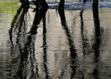 Merced Reflection