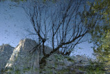 Reverse Reflection