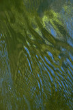 Water Pallette
