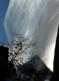 Disney Hall