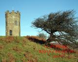 IMG_2006 FOLLY HAWTHORN