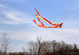 Kite and Streamers