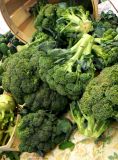 Broccoli: Super Veggie!