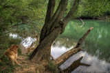 max (6 yrs) at the chattahoochee river national recreation area, medlock bridge unit