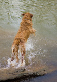 20080306_0185.jpg