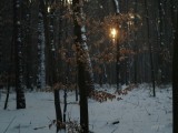 05 - ray of light