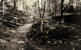 broken dreams II
