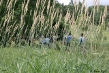 Bird Watching - Palgrave_06-07-06_1.JPG