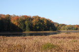 Gibson Lake.jpg