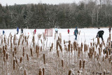 Winter on Palgrave Mill Pond_07-01-29_6.JPG