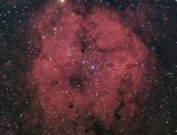 IC 1396 (Sh2-131)