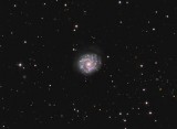 NGC 3631 (Arp 027)