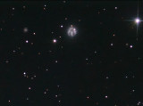 NGC 2537 (Arp 006)