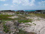 Cozumel 015.jpg