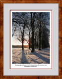 Snow in Clumber Park 1 edits titled web framed 9208.jpg