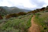 Santa Monica mountains